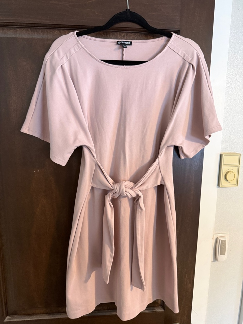 Express Blush Pink Tie-Front Mini Dress